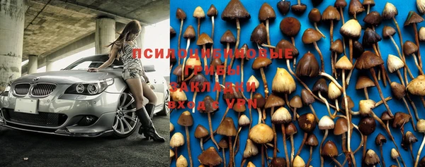 прущие крисы Армянск